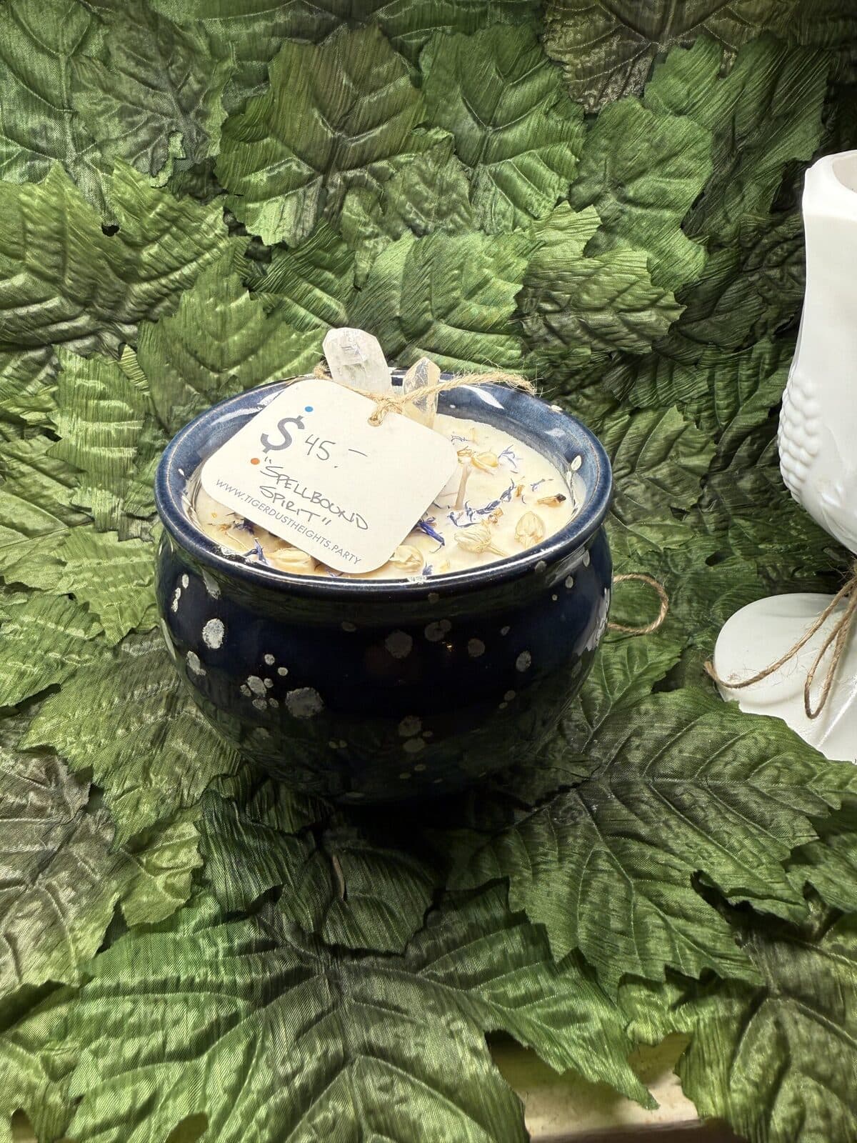 A dark-blue spell box with embedded crystal and dried floral, photographed on a leafy green backdrop.